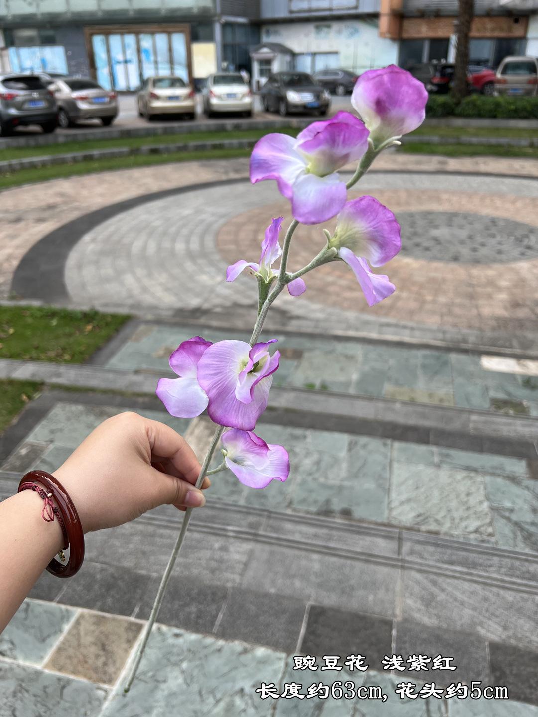 微信图片_20230408112642.jpg