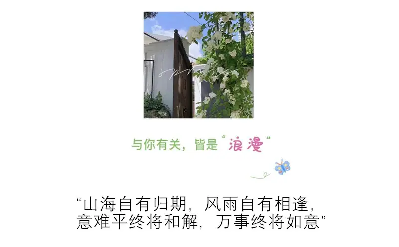 20 阿里解说