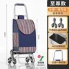 Carrito de compras para subir escaleras, carrito de mano para verduras, carrito de arrastre, mango plegable, carrito pequeño para ancianos, portátil, doméstico, ligero, carrito de arrastre pequeño