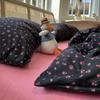 Ins Red de Lija Engrosada Juego de Cama de Cuatro Piezas a Color Cubre Edredón Dormitorio Individual Estudiantil Juego de Tres Piezas Envío Gratis Fábrica