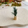 Caja Misteriosa Decoración Bosque Micro Paisaje Musgo Corteza Material DIY Casa de Muñecas Escena Accesorios Hechos a Mano Material