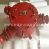 Caja de Conexiones para Cable de Alto Voltaje a Prueba de Explosión para Minería Bhg1-630/10-3G Tres Vías a Prueba de Explosión