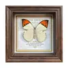 Marco de Fotos con Foto de Mariposa Real Pintura Decorativa Estilo Europeo Marco de Fotos Vintage Decoración de Mesa Adorno para Muebles Regalo de Cumpleaños Presente