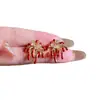 Pendientes de Fuegos Artificiales de Circonita Roja de Año Nuevo para Mujer 2026 Nuevo Estilo Popular Pendientes Únicos y Hermosos