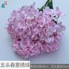 Pacote de Cinco Cabeças Borboleta de Neve Hortênsia 5 Cabeças Hortênsia Não Tecida Casamento Hotel Layout Flores Artificiais Janela Beleza Flores de Seda Chen
