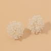 Pendientes de Flor de Fuegos Artificiales de Perla de Imitación Dulces y de Moda, Simples, Compactos, Elegantes, Pendientes de Gama Alta para Mujer