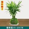 Musgo Bola Micro-Paisagismo DIY Criativo Vaso Pequena Planta Mesa de Chá Exibição Bacia de Água Flor Produto Acabado Fácil de Manter em Casa