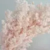 Pinho de Penglai de Yunnan Flor Eterna Buquê de Flores Secas Decoração de Casa Buquê Artesanal Materiais para DIY Suprimentos para Floricultura Atacado