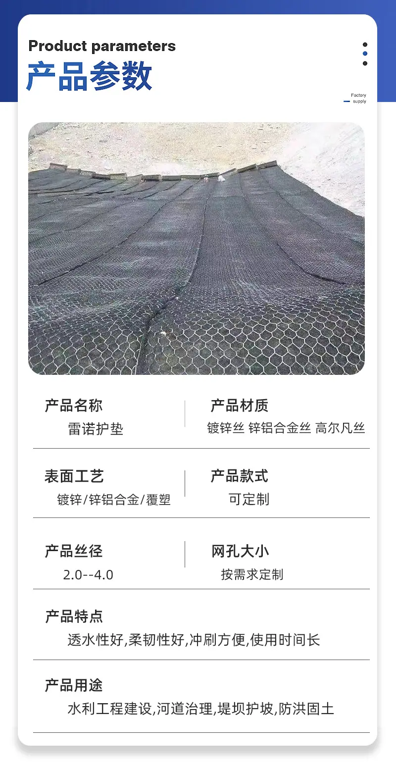 雷诺_04.jpg