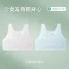 Ropa interior de material ligero para niñas en período de desarrollo, edades 8-14, Niños de primaria, Camisola de primera etapa para niñas