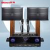 Conjunto de audio para KTV familiar Xinke, reproductor de karaoke, altavoz y amplificador para conferencias en casa.