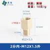 Adaptador de manómetro de cobre puro, reductor con roscas internas y externas M5M6M8M10M12M14*1.5M16 G1/4
