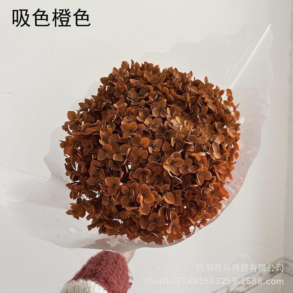 微信图片_20231009135312.jpg