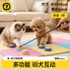 Palo de Entrenamiento para Mascotas, Varilla de Entrenamiento Escarchada, Látigo para Perros, Palo de Entrenamiento Interactivo para Exteriores para Gatos y Perros, Suministros para Mascotas