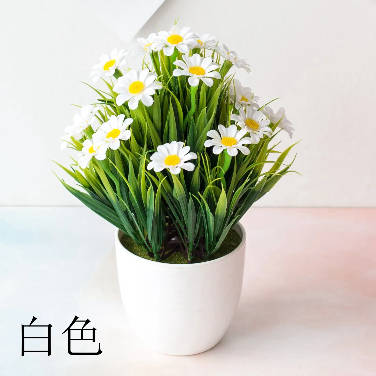 春草菊花