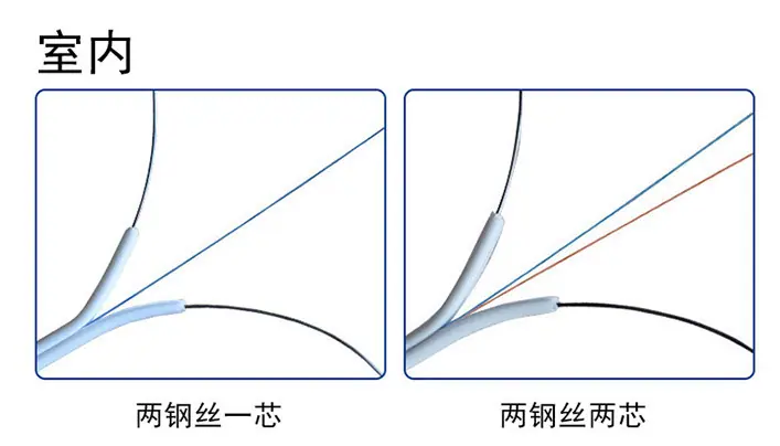 室内皮线展示1