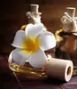 Tigela de Cerâmica para Óleo Essencial Recipiente para Mistura e Dosagem Tigela Prato Spa Hotel Massagem nos Pés Limpeza de Ouvido Frasco de Aroma Spa Tailandês