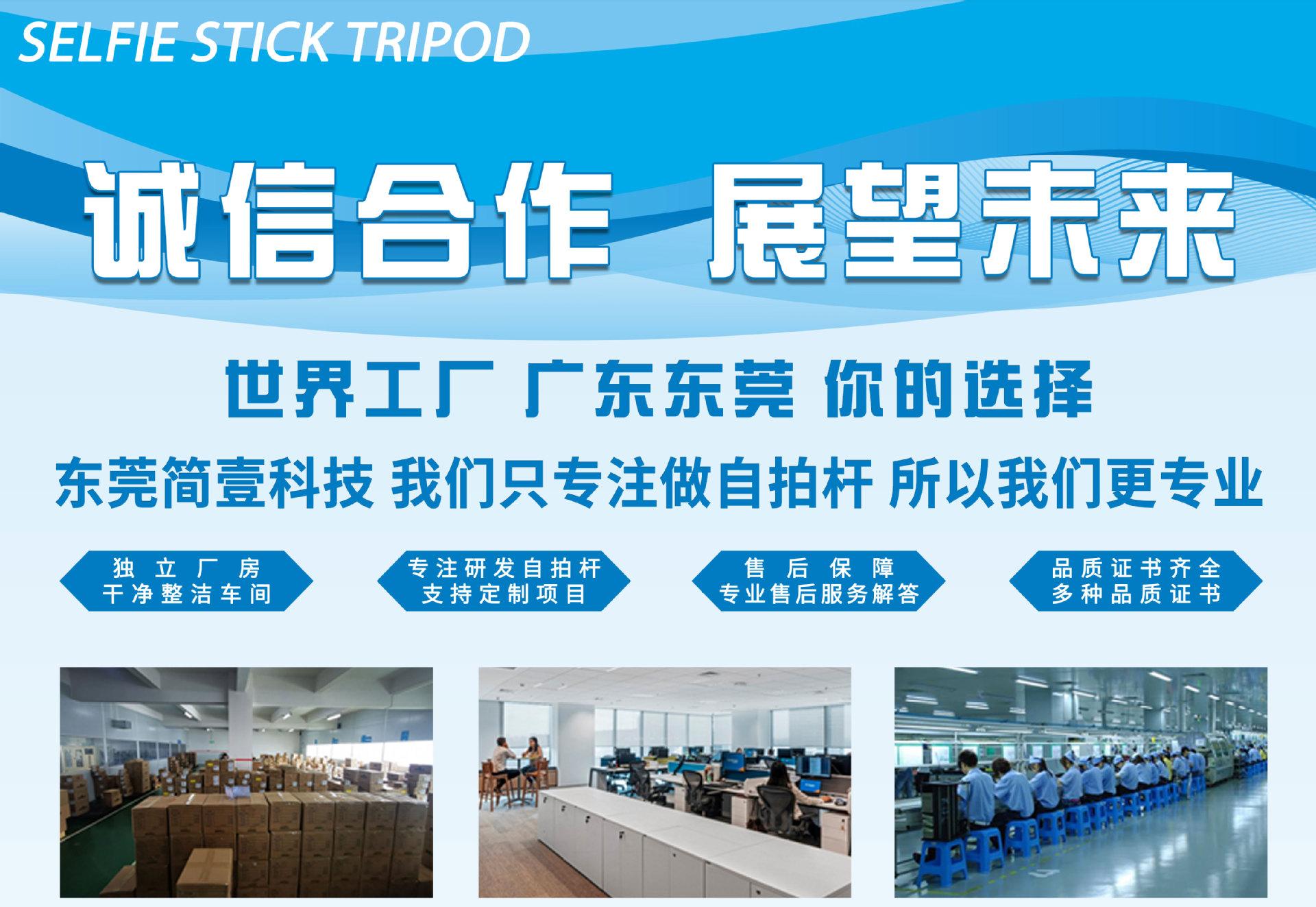 公司简介11