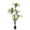 Estilo Nórdico Simulação Planta Verde Dracenas Sala de Estar Falsas Biônicas Dracenas Árvore Orquídea Tiyang Enfeites de Chão Plantas Falsas em Vaso