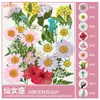 Paquete de Materiales DIY de Flores Secas Flores Prensadas Hechas a Mano Flores Conservadas Marcadores de Libros de Flores Prensadas Hojas de Árbol Real Plantas Pegatinas de Resina Maquillaje Facial