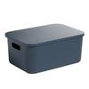 Caja de almacenamiento multifuncional, cesta de plástico para clasificar artículos diversos, ropa interior esencial para dormitorio, calcetines, artefacto de almacenamiento
