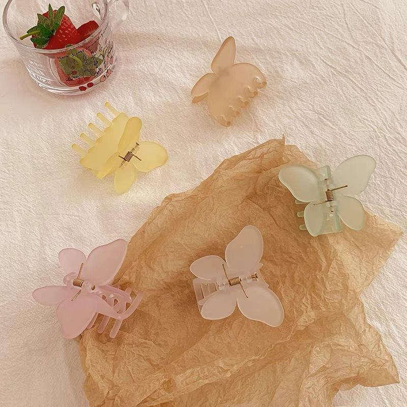 2021-06-08 112017.jpg