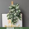 Decoración de pared de planta de simulación de interior, colgante de pared de planta verde, eneldo verde, caparazón de tortuga, maranta, colgante de pared de fondo para el hogar, hoja verde