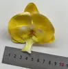 Cabeza de Flor de Falenopsis Engomada 3D Simulación Falenopsis de Comercio Exterior Decoración del Hogar Pared de Flores de Boda Película de Flor Artificial Falenopsis