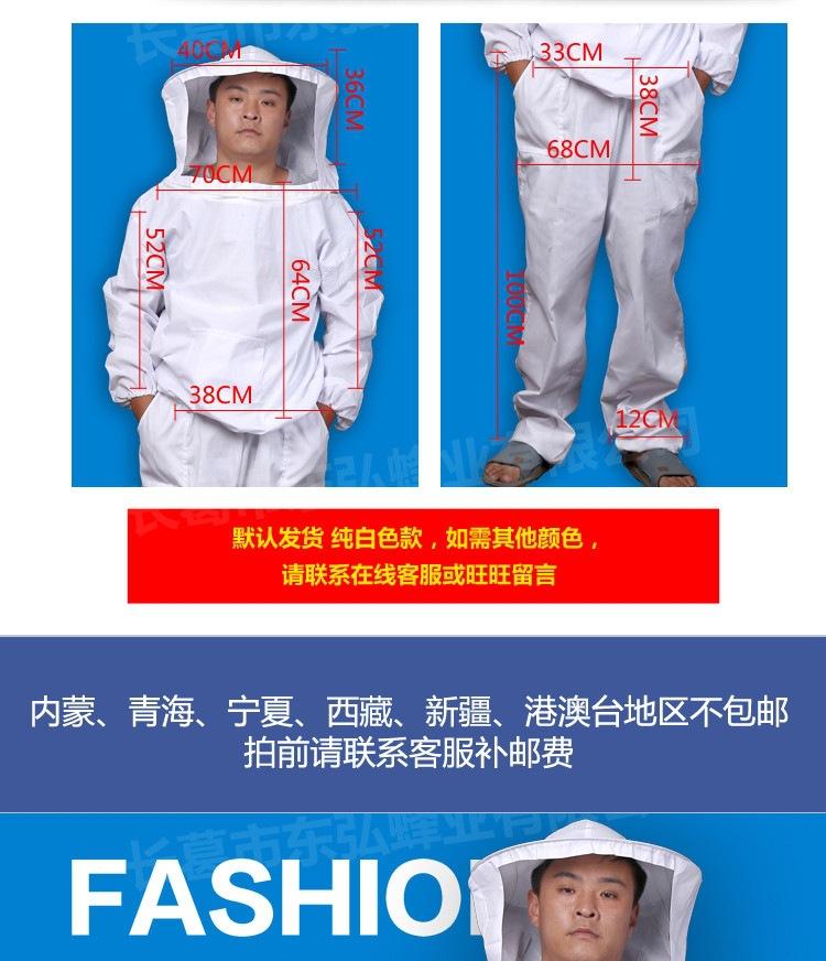 分体