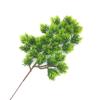 29 Pinheiro Boas-Vindas Pinheiro Beleza Folhas de Pinheiro Simulado Rochoso Aquário Paisagismo Tuia Folhas Decorativas Folhas de Pinheiro e Cipreste Atacado