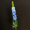 Arranjo de Casamento Coreano Flores Artificiais Flores de Casamento Orquídea Rabo de Raposa Jacinto Flores Artificiais Decoração de Casa Floral Flores Artificiais