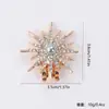 Hebilla de Zapato Brillante con Pedrería, Broche Femenino para Traje, Pin de Diseño de Nicho, Accesorio de Pin Decorativo para Suéter para Otoño e Invierno