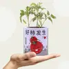 Latas de Conserva para Plantio, Vasos Pequenos com Plantas, Plantas Verdes Infantis, Mini Vasos de Sementes para Mesa, Presentes de Férias para Estudantes