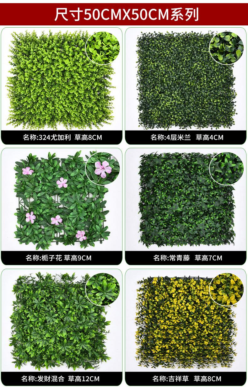植物墙_14