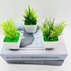 Simulação de planta em vaso simulação suculenta nova planta em vaso quadrado pequena simulação de Aloe Vera bergamota espada grama bonsai fornecimento transfronteiriço