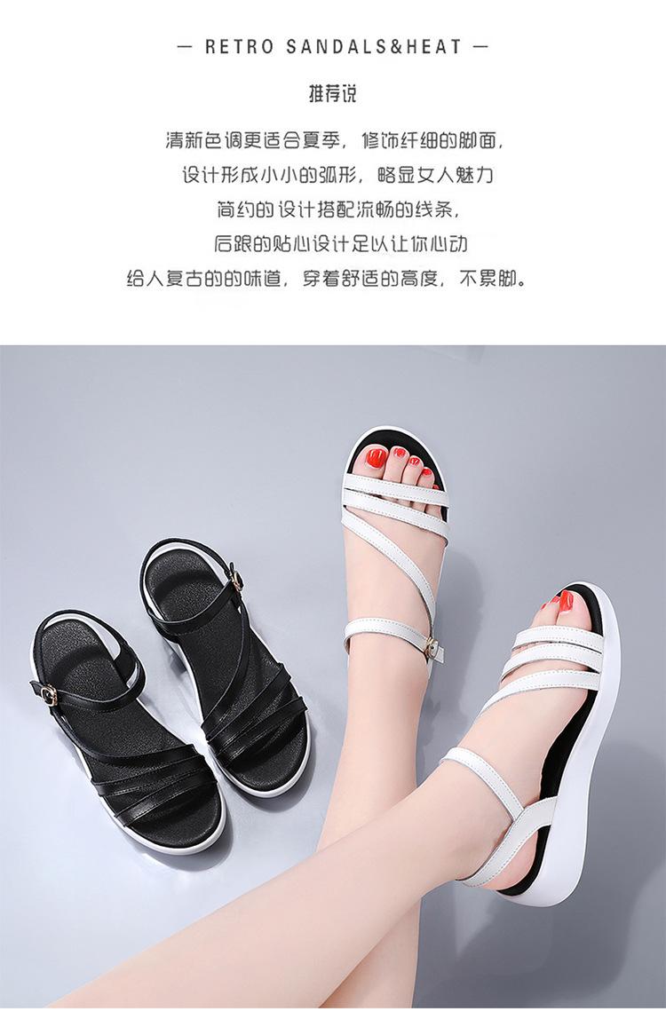 790_02.jpg