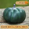 Verduras Simuladas, Tomates Falsos, Repollo, Rábano, Pimiento, Calabaza, Modelos de Papa, Accesorios Fotográficos de Educación Temprana, Artículos para Exhibición en Ventanas