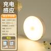 Lámpara de inducción del cuerpo humano luz nocturna led recargable control de luz automático pasillo corredor lámpara de pared escalera dormitorio lámpara de armario
