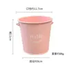 Portalápices de Hierro de Color Macarrón Transfronterizo Cubo de Almacenamiento Multifuncional Decoración de Escritorio Caja de Dulces Cubo Pequeño Mini Maceta