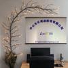 Decoración de Interior Luz de Mimbre LED Enchufe Multi-Especificación Opcional Blanco Cálido Siempre Brillante Ambiente de Habitación Luz de Diseño Luz de Árbol LED
