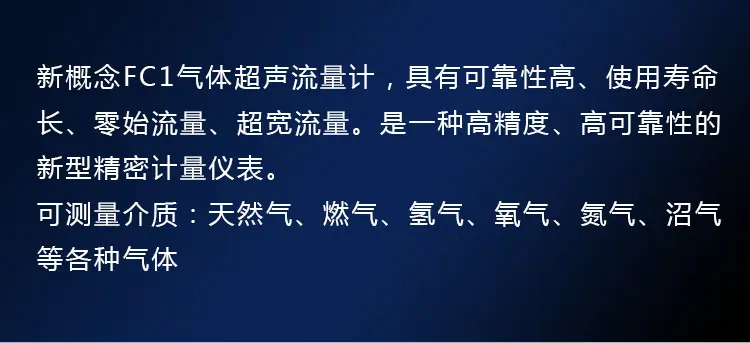 气体超声波流量计详情_02.jpg