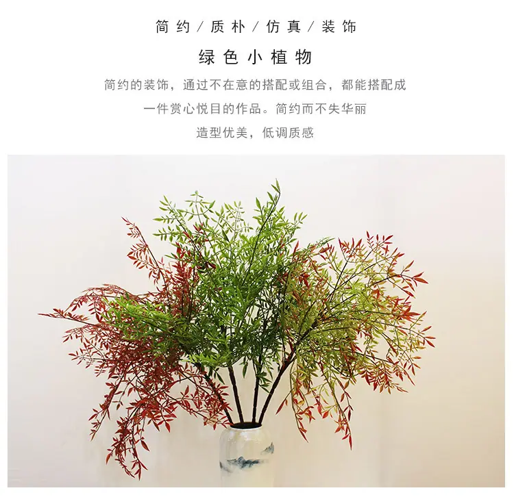 南天竹_01.jpg