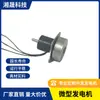 Generador Externo de Rotor Micro/Generador de Linterna de Manivela, Generación de Energía con Aumento de Velocidad por Engranajes Planetarios, Modelo Mini