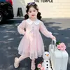 Vestido de Otoño para Niñas Pequeñas y Niños Pequeños, Vestido de Tul con Cuello de Muñeca Elsa
