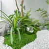 Plantas Realistas de Madera de Caballo de Gama Alta para Escaparates, Árboles Decorativos de Vegetación Artificial para Interiores, Árboles Falsos Grandes para Diseño de Paisaje Sencillo