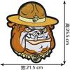 Promoção Quente Grande Marca da Moda Águia Bordada Adesivo de Tecido Roupas Jaqueta de Couro Jaqueta de Penas Patch Alugado Aplique Decorativo