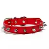 Collar Anti-mordidas para Perro Collar para Mascota Perro Pequeño Mediano Collar con Remaches Collar Duradero para Gato Suministros para Mascotas Collar de Cuero