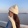 Diseño de Nicho Sombrero de Lana Tejida Personalizado Orejas de Cerdo de Gato Pareja Lindo y Cálido Otoño e Invierno Sombrero para Hombres y Mujeres Tendencia Estilo K