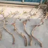 Ramas Secas Jardinería Enverdecimiento Ramas con Forma Corteza Pelada Color Madera Ramas Secas Lianas Secas Vides Uva Decoración Ventana Suministros Florales Bolsa