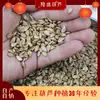 Venta en stock semilla de calabaza de mano semilla de calabaza de cintura grande mediana mediana y pequeña semilla de calabaza grande de 8-13 cm